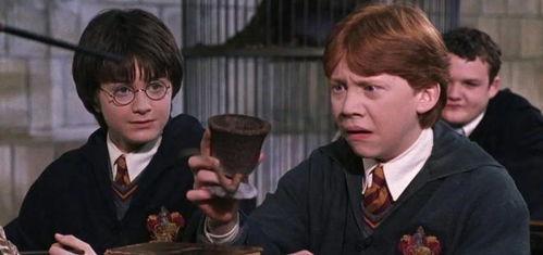 哈利最新爆料牛仔,牛仔背后的不为人知故事  第2张